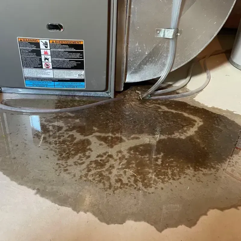 Appliance Leak Cleanup in Eastvale, CA